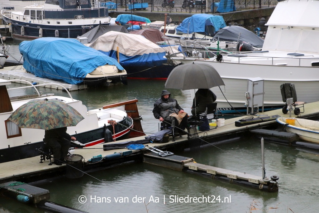 Vijftien vissers hengelvereniging vangen voorns bij de vleet in haven Sliedrecht24