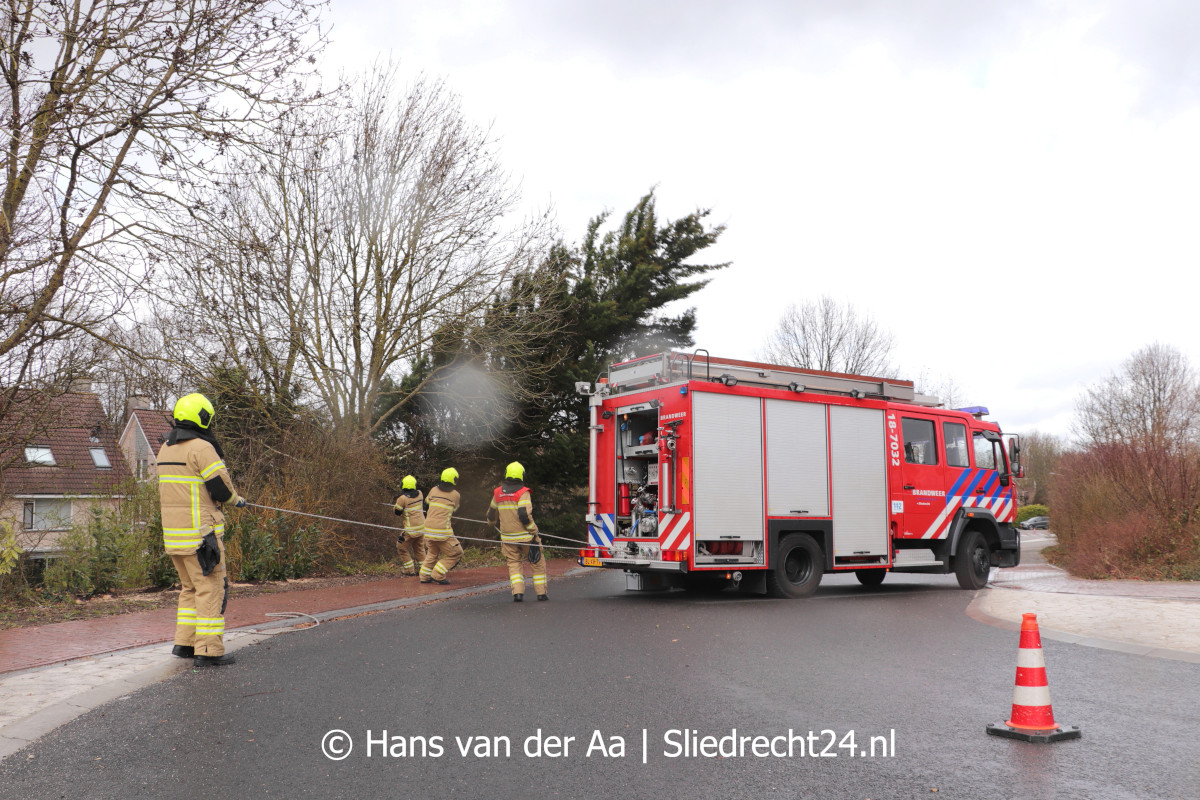 NIEUWS: Brandweer zaagt conifeer uit voorzorg in stukken.