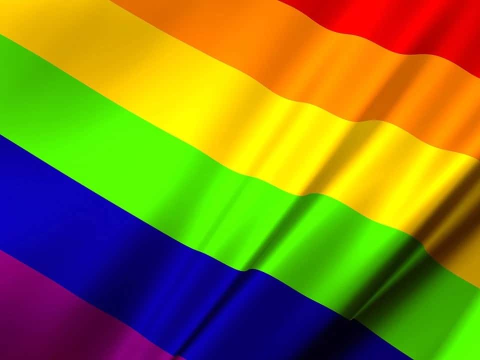 Gemeente hijst intersekse progress-vlag bij raadhuis