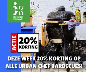 Intratuin Barbecue