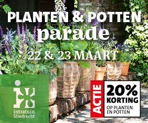 Intratuin Planten en Potteb