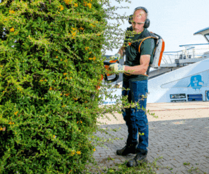 Verheij Integrale groenzorg