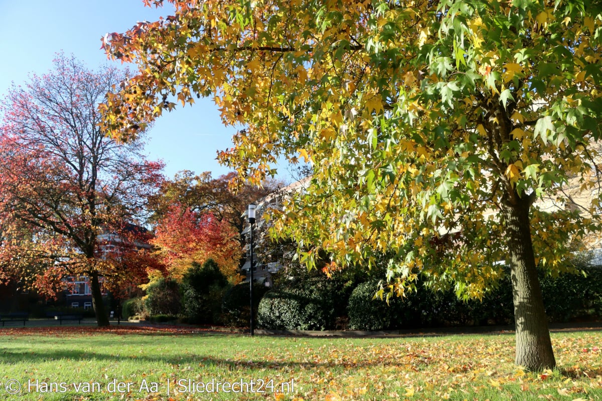 Herfst kleurt, maar temperatuur is nog boven normaal