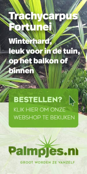 Palmpjes.NL