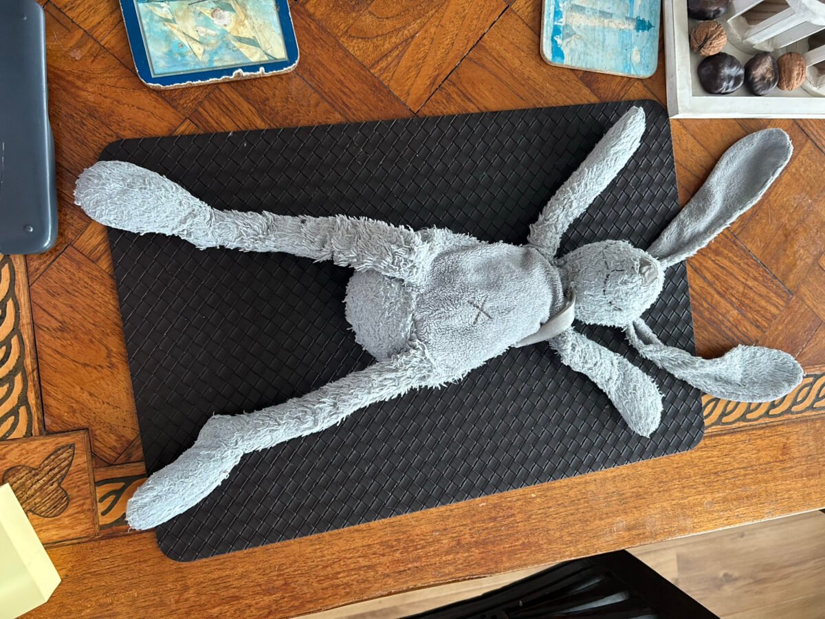 Knuffel op straat gevonden