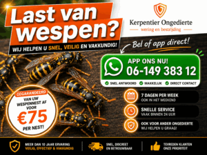 Kerpentier Ongedierte