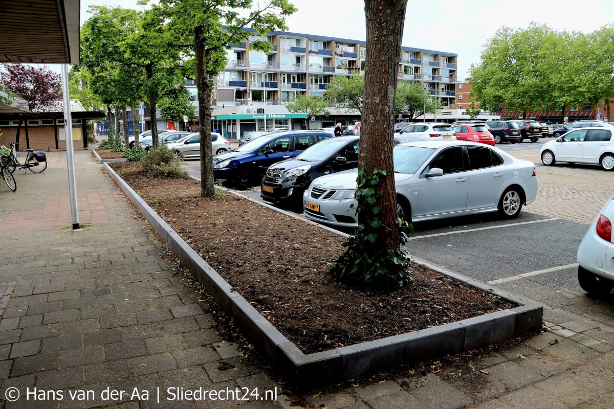 Vragen aan college over hinder van geplaatste plantenbakken
