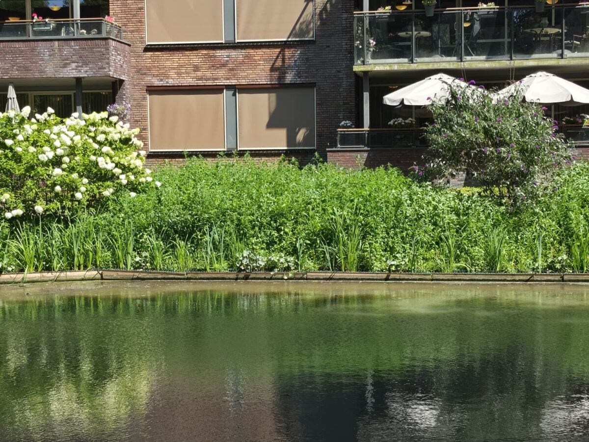 ‘Meer aandacht voor planten en dieren met natuurvriendelijke beschoeiing’